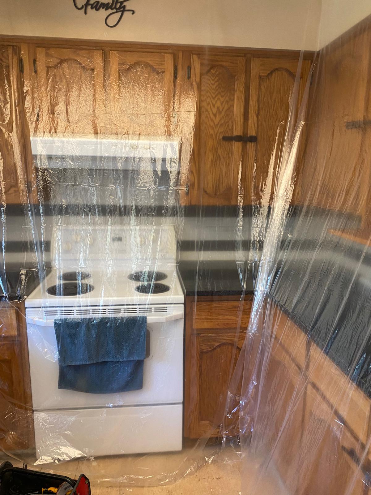 Mold Remediation